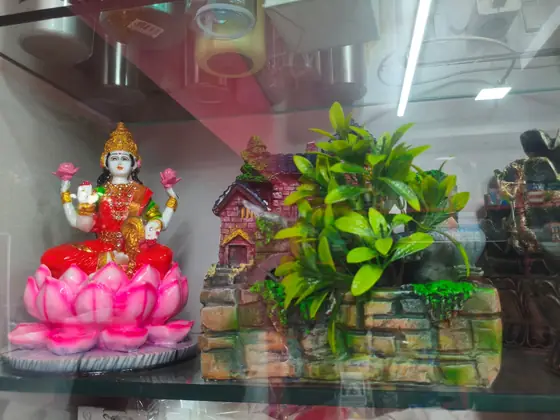 Lakshmi idol with decorative plants and home decor